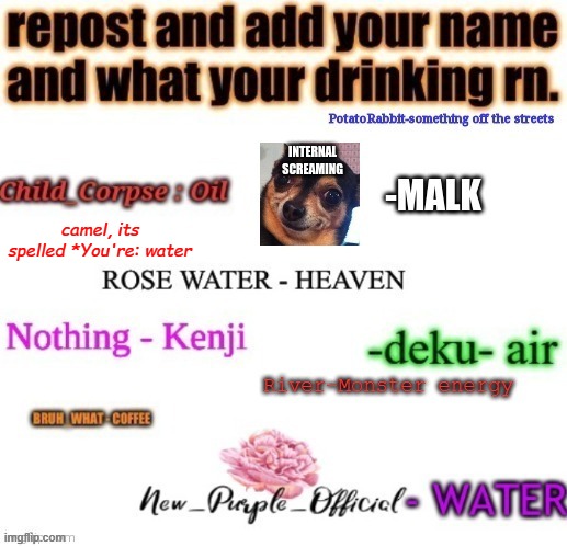 camel, its spelled *You're: water | made w/ Imgflip meme maker
