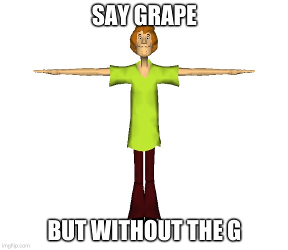 Shaggy | SAY GRAPE; BUT WITHOUT THE G | image tagged in t pose | made w/ Imgflip meme maker