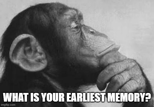 Mine is in the comments... | WHAT IS YOUR EARLIEST MEMORY? | image tagged in monkey rodin thinker | made w/ Imgflip meme maker