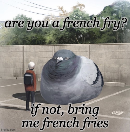 Big pigeon | are you a french fry? if not, bring me french fries | image tagged in beeg birb,pigeon,french fries,dada | made w/ Imgflip meme maker