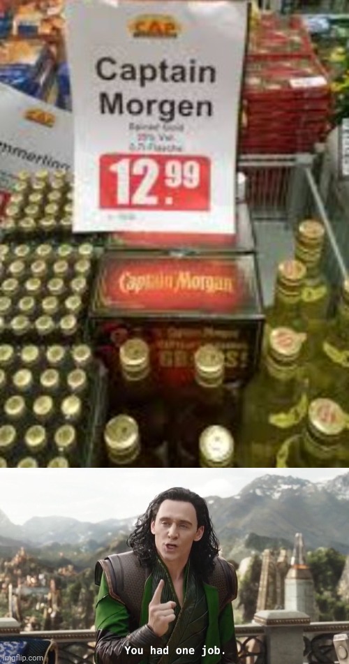 image tagged in you had one job just the one | made w/ Imgflip meme maker