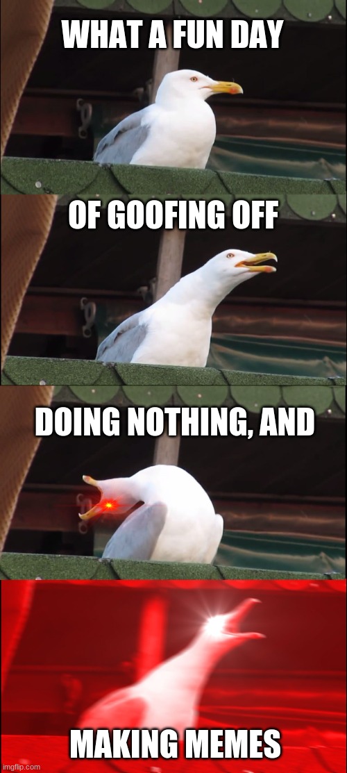 Making memes | WHAT A FUN DAY; OF GOOFING OFF; DOING NOTHING, AND; MAKING MEMES | image tagged in memes,inhaling seagull | made w/ Imgflip meme maker