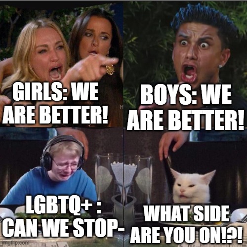 Literally Girls vs. Boys happens in front of me- | GIRLS: WE ARE BETTER! BOYS: WE ARE BETTER! LGBTQ+ : CAN WE STOP-; WHAT SIDE ARE YOU ON!?! | image tagged in taylor armstrong and pauly d yelling at each other whilst call m | made w/ Imgflip meme maker