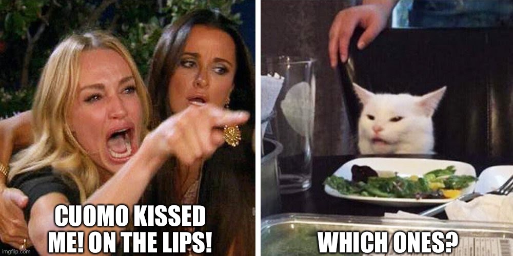 Smudge the cat | CUOMO KISSED ME! ON THE LIPS! WHICH ONES? | image tagged in smudge the cat | made w/ Imgflip meme maker