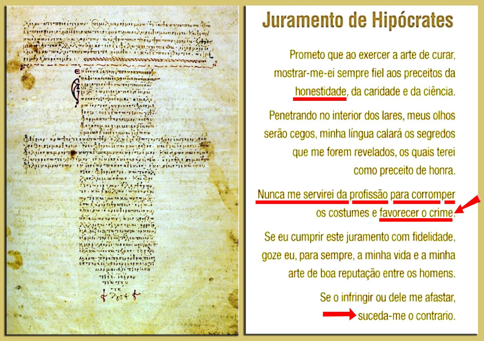 Juramento de Hipocrates / Hippocrates Oath Blank Meme Template