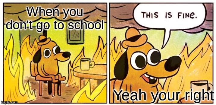 Not going to school | When you don't go to school; Yeah your right | image tagged in memes,this is fine | made w/ Imgflip meme maker