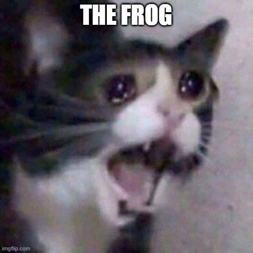 Screaming Cat meme | THE FROG | image tagged in screaming cat meme | made w/ Imgflip meme maker