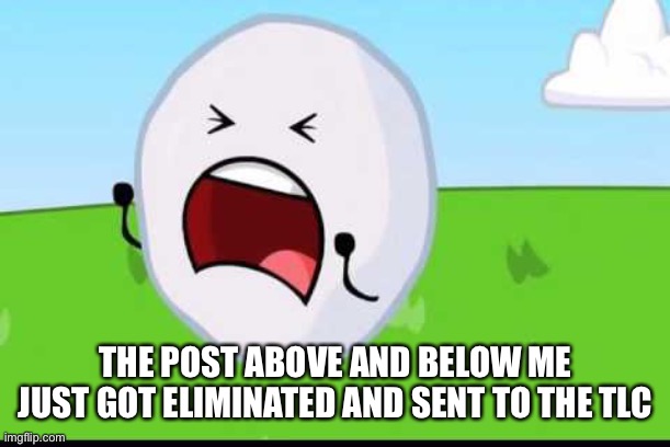BFDI Snowball NOOOOO | THE POST ABOVE AND BELOW ME JUST GOT ELIMINATED AND SENT TO THE TLC | image tagged in bfdi snowball nooooo | made w/ Imgflip meme maker