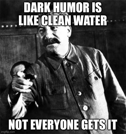 Wot | DARK HUMOR IS LIKE CLEAN WATER; NOT EVERYONE GETS IT | image tagged in stalin,dark humor,funny | made w/ Imgflip meme maker