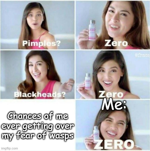 I hate wasps | Me:; Chances of me ever getting over my fear of wasps | image tagged in pimples zero,wasps suck,not getting over my fear of wasps | made w/ Imgflip meme maker