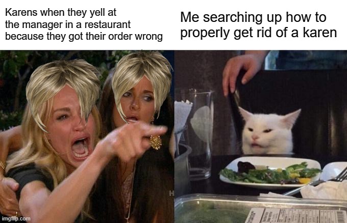 Woman Yelling At Cat Meme | Karens when they yell at the manager in a restaurant because they got their order wrong; Me searching up how to properly get rid of a karen | image tagged in memes,woman yelling at cat | made w/ Imgflip meme maker