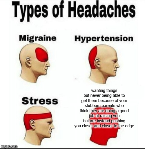 sorry i just had to let that out | wanting things but never being able to get them because of your stubborn parents who think they are doing a good job at raising you but are instead pushing you closer and closer to the edge | image tagged in types of headaches meme | made w/ Imgflip meme maker