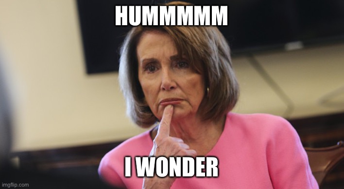 Pelosi Philosoraptor | HUMMMMM I WONDER | image tagged in pelosi philosoraptor | made w/ Imgflip meme maker