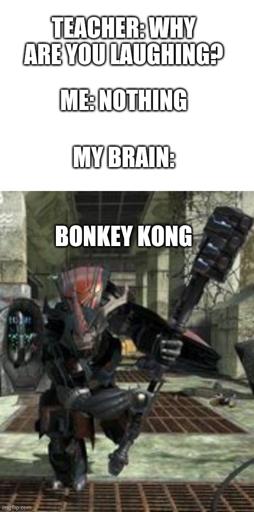 TEACHER: WHY ARE YOU LAUGHING? ME: NOTHING; MY BRAIN:; BONKEY KONG | image tagged in blank white template,brute | made w/ Imgflip meme maker