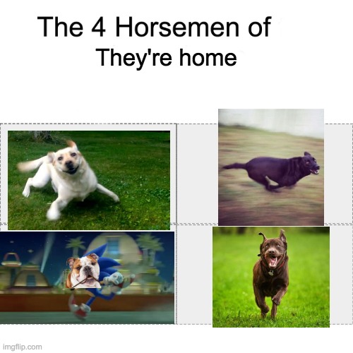 zoomies | They're home | image tagged in four horsemen | made w/ Imgflip meme maker