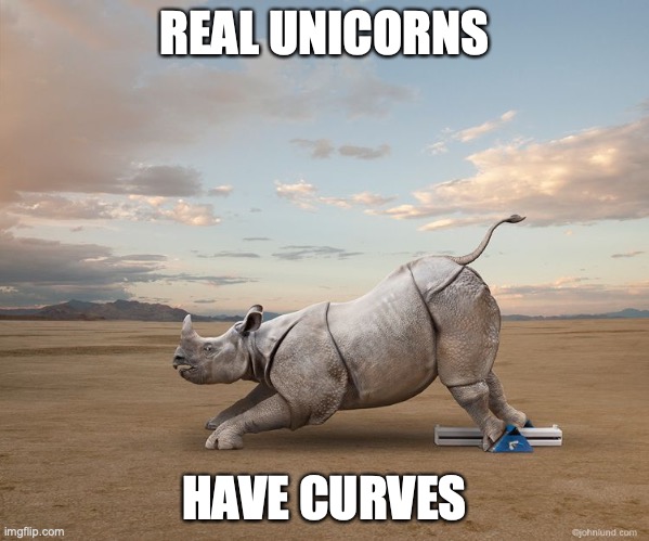 rhino | REAL UNICORNS; HAVE CURVES | image tagged in rhino | made w/ Imgflip meme maker
