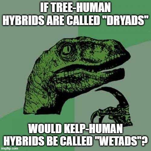 Philosoraptor | IF TREE-HUMAN HYBRIDS ARE CALLED "DRYADS"; WOULD KELP-HUMAN HYBRIDS BE CALLED "WETADS"? | image tagged in memes,philosoraptor,tree,human,hybrid,bad pun | made w/ Imgflip meme maker