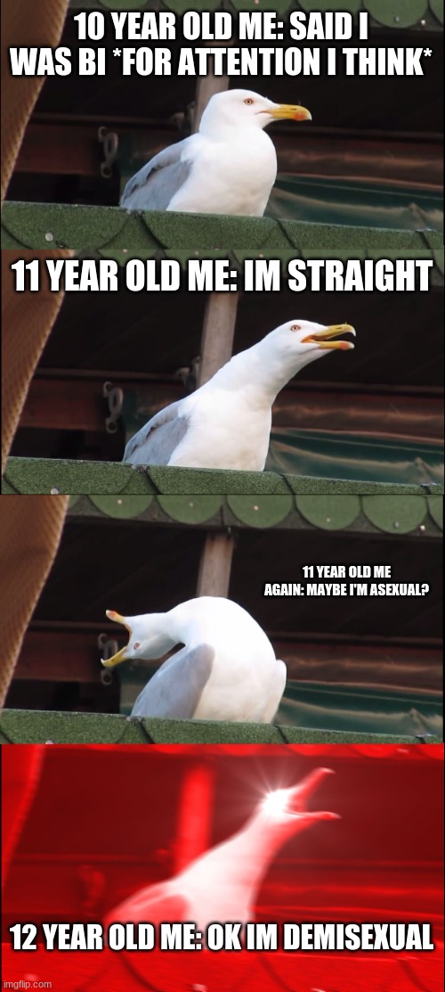 yes im 12-sorry if u thought i was older :/ | 10 YEAR OLD ME: SAID I WAS BI *FOR ATTENTION I THINK*; 11 YEAR OLD ME: IM STRAIGHT; 11 YEAR OLD ME AGAIN: MAYBE I'M ASEXUAL? 12 YEAR OLD ME: OK IM DEMISEXUAL | image tagged in memes,inhaling seagull | made w/ Imgflip meme maker
