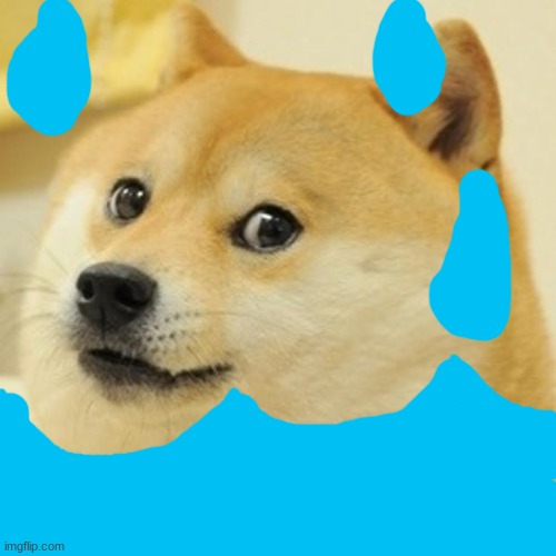 Dogwater | image tagged in memes,doge | made w/ Imgflip meme maker
