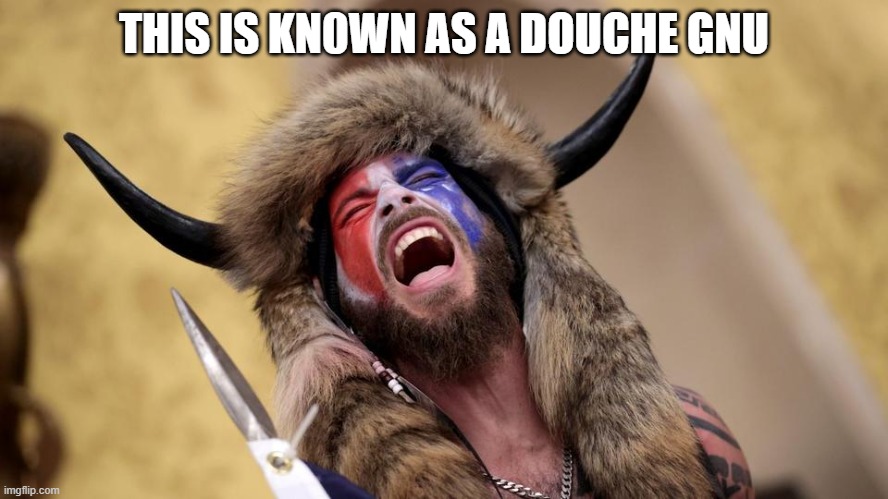 Douche Gnu | THIS IS KN0WN AS A DOUCHE GNU | image tagged in douche gnu | made w/ Imgflip meme maker