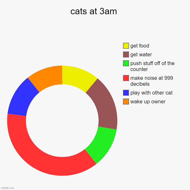 cats at 3am | wake up owner, play with other cat, make noise at 999 decibels, push stuff off of the counter, get water, get food | image tagged in charts,donut charts | made w/ Imgflip chart maker