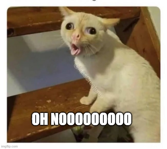 Coughing Cat | OH NOOOOOOOOO | image tagged in coughing cat | made w/ Imgflip meme maker