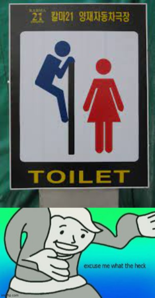 What the hell is this crap? | image tagged in excuse me what the heck,bathroom,funny memes,restroom,signs | made w/ Imgflip meme maker
