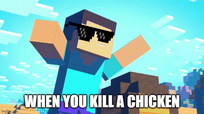 poor chicken | WHEN YOU KILL A CHICKEN | image tagged in noob | made w/ Imgflip meme maker