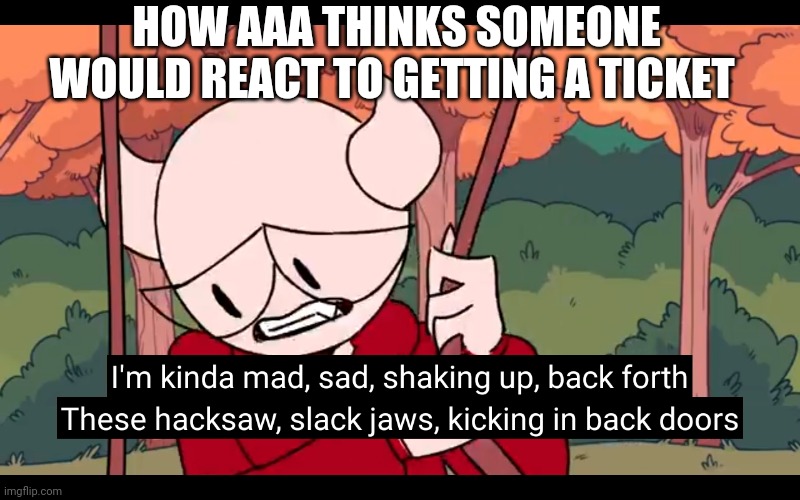 I'm kinda mad sad | HOW AAA THINKS SOMEONE WOULD REACT TO GETTING A TICKET | image tagged in i'm kinda mad sad | made w/ Imgflip meme maker
