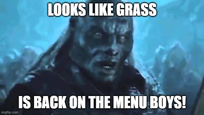 Lord of the Rings Meat's back on the menu | LOOKS LIKE GRASS; IS BACK ON THE MENU BOYS! | image tagged in lord of the rings meat's back on the menu,trees | made w/ Imgflip meme maker