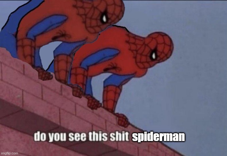 E | image tagged in do you see this shit spiderman | made w/ Imgflip meme maker