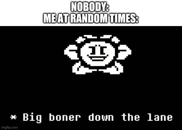 -_- | NOBODY: 
ME AT RANDOM TIMES: | image tagged in memes,boner,bruh | made w/ Imgflip meme maker