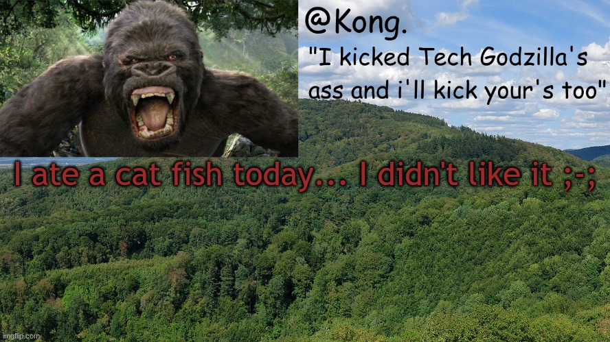 gross ewwy | I ate a cat fish today... I didn't like it ;-; | image tagged in kong 's temp | made w/ Imgflip meme maker