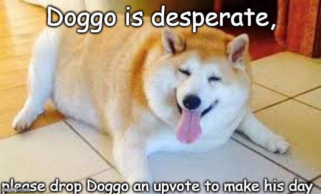 you know doggo would really love it.... | Doggo is desperate, please drop Doggo an upvote to make his day | image tagged in doggo,good luck,please help me | made w/ Imgflip meme maker