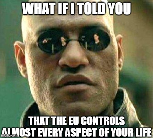 the EU controls all! | WHAT IF I TOLD YOU; THAT THE EU CONTROLS ALMOST EVERY ASPECT OF YOUR LIFE | image tagged in what if i told you,european union | made w/ Imgflip meme maker