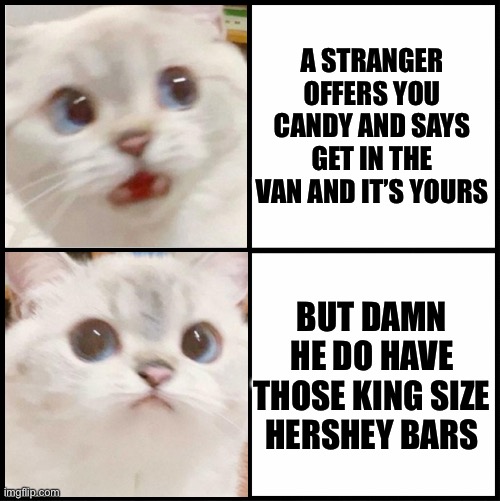 cute white cat template | A STRANGER OFFERS YOU CANDY AND SAYS GET IN THE VAN AND IT’S YOURS; BUT DAMN HE DO HAVE THOSE KING SIZE HERSHEY BARS | image tagged in cute white cat template | made w/ Imgflip meme maker
