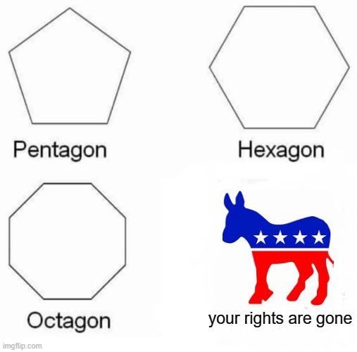 Your Rights are Gone | your rights are gone | image tagged in memes,pentagon hexagon octagon | made w/ Imgflip meme maker