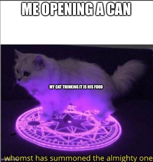 Who has summoned the almighty one | ME OPENING A CAN; MY CAT THINKING IT IS HIS FOOD | image tagged in who has summoned the almighty one | made w/ Imgflip meme maker