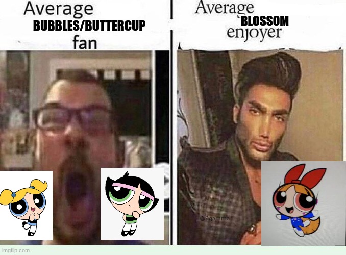 i created that fanart on the bottom right | BLOSSOM; BUBBLES/BUTTERCUP | image tagged in average blank fan vs average blank enjoyer,powerpuff girls | made w/ Imgflip meme maker