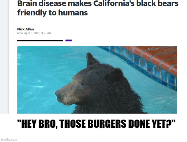 So We Can Have One As A Pet? | "HEY BRO, THOSE BURGERS DONE YET?" | image tagged in memes,california,bears | made w/ Imgflip meme maker