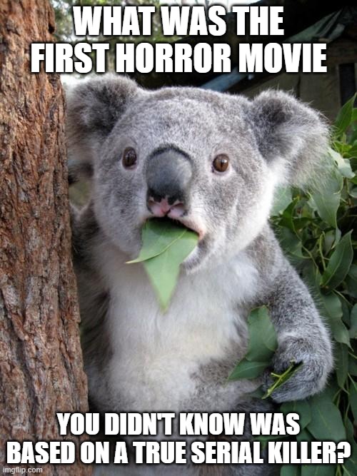 ? | WHAT WAS THE FIRST HORROR MOVIE; YOU DIDN'T KNOW WAS BASED ON A TRUE SERIAL KILLER? | image tagged in memes,surprised koala,serial killer,kill,questions | made w/ Imgflip meme maker