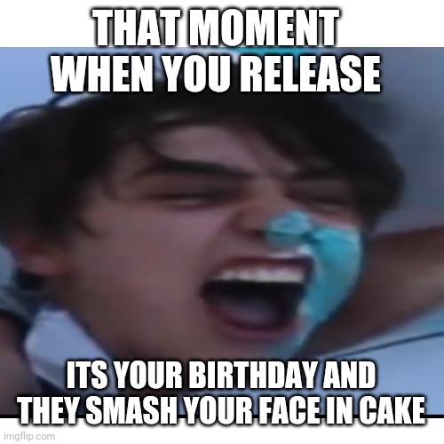 What ever this is | THAT MOMENT WHEN YOU RELEASE; ITS YOUR BIRTHDAY AND THEY SMASH YOUR FACE IN CAKE | image tagged in y u no | made w/ Imgflip meme maker