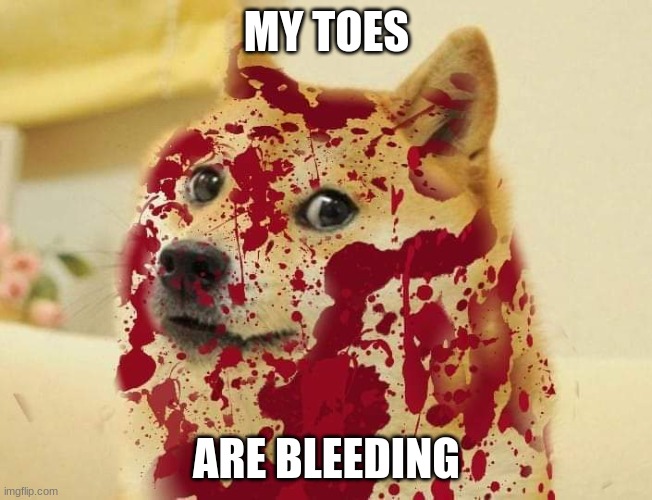 Bloody doge | MY TOES; ARE BLEEDING | image tagged in bloody doge | made w/ Imgflip meme maker