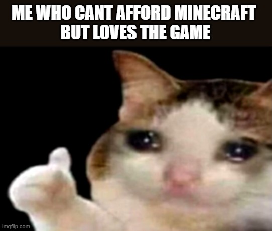 Sad cat thumbs up | ME WHO CANT AFFORD MINECRAFT 
BUT LOVES THE GAME | image tagged in sad cat thumbs up | made w/ Imgflip meme maker