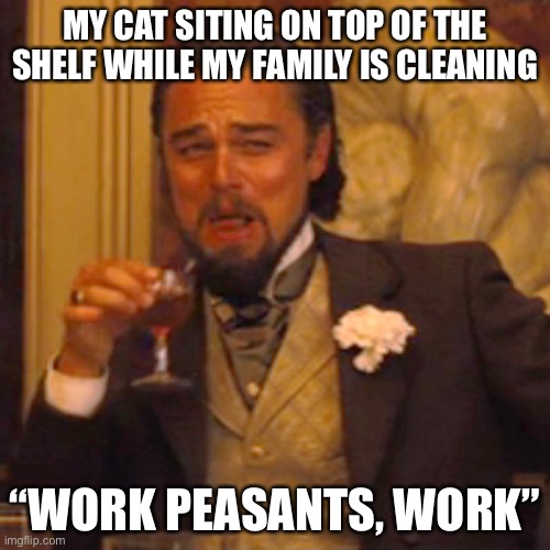Laughing Leo Meme | MY CAT SITING ON TOP OF THE SHELF WHILE MY FAMILY IS CLEANING; “WORK PEASANTS, WORK” | image tagged in memes,laughing leo | made w/ Imgflip meme maker