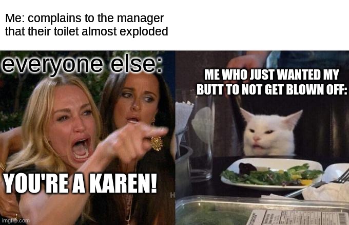 Woman Yelling At Cat Meme | Me: complains to the manager that their toilet almost exploded; everyone else:; ME WHO JUST WANTED MY BUTT TO NOT GET BLOWN OFF:; YOU'RE A KAREN! | image tagged in memes,woman yelling at cat | made w/ Imgflip meme maker