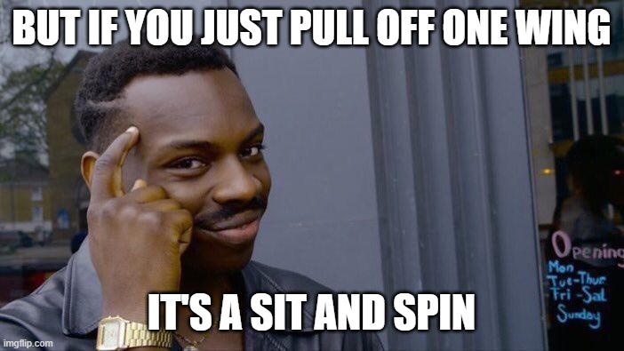 Roll Safe Think About It Meme | BUT IF YOU JUST PULL OFF ONE WING IT'S A SIT AND SPIN | image tagged in memes,roll safe think about it | made w/ Imgflip meme maker