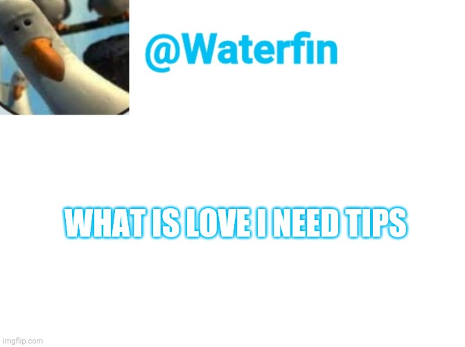 Waterfin Template | WHAT IS LOVE I NEED TIPS | image tagged in waterfin template | made w/ Imgflip meme maker