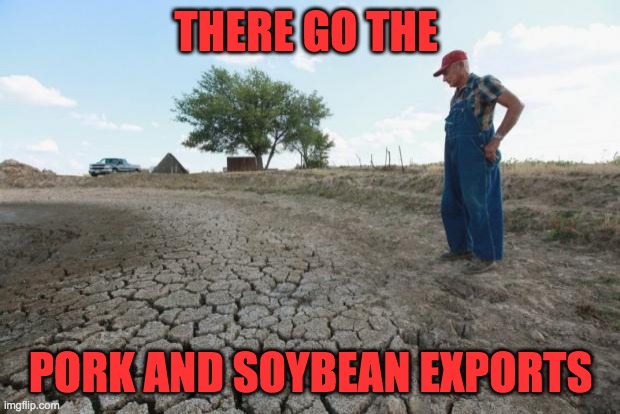 Drought Farmer | THERE GO THE PORK AND SOYBEAN EXPORTS | image tagged in drought farmer | made w/ Imgflip meme maker