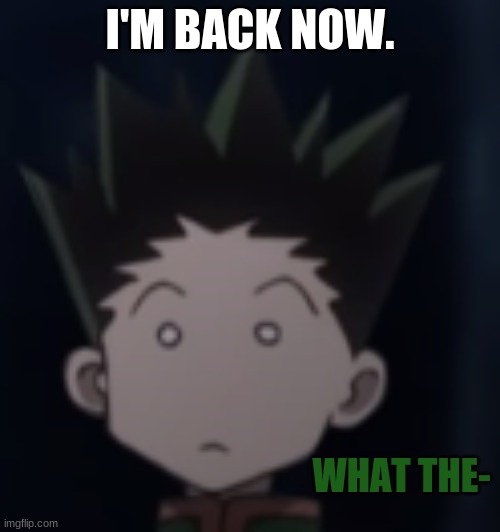 did I miss anything? | I'M BACK NOW. | image tagged in gon what the- | made w/ Imgflip meme maker